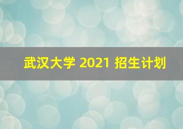 武汉大学 2021 招生计划